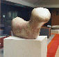 BIRDSTONE (thumbnail)