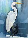COMMON EGRET
