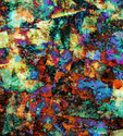 Xenophanes Xenophanes (thumbnail)