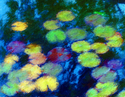Water Lilies Water%20Lilies (thumbnail)