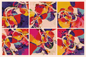 Flexo Six Flexo%20Six (thumbnail)