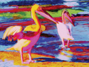 White Pelicans White%20Pelicans (thumbnail)
