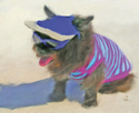 Toto On the Beach Toto%20On%20the%20Beach (thumbnail)