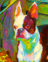 The Boston Terrorist The%20Boston%20Terrorist (thumbnail)