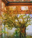 The Pomegranate Tree The%20Pomegranate%20Tree (thumbnail)