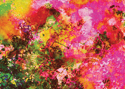 Azaleas Azaleas (thumbnail)