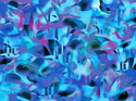 Eleionomae Blue Eleionomae%20Blue (thumbnail)