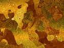 Gilding and Rust Gilding%20and%20Rust (thumbnail)