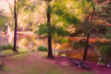 Studio View Of Elm Lake Studio%20View%20Of%20Elm%20Lake (thumbnail)