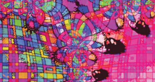 Mellow%20Yellow%20In%20Pink (thumbnail)
