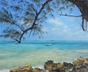 Sail%20boat%20and%20Casurina%20tree (thumbnail)