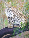 Painting-African Majesty