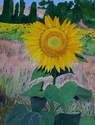 Painting--Oil-BotanicalUmbria - Solitaire