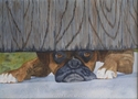 Nosy Neighbor