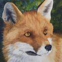 Conte du Renard
