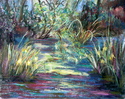 Clark%20Garden%20Pond (thumbnail)