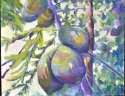 Mango (thumbnail)