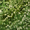 Lowcountry%20Trees (thumbnail)