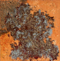 Vin Sarno - Hydrangea #1