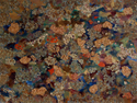 Hydrangea%20%2314 (thumbnail)