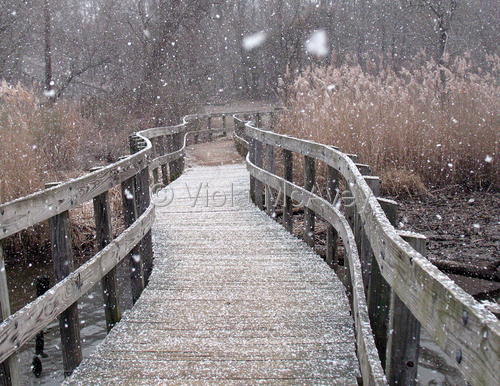 Photography-Landscape-Across the Headwaters of Spa Creek