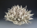 Anemone (thumbnail)