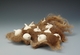 Sculpture--Mixed Media-ConceptualSeed Pod