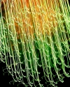Falling%20Threads (thumbnail)