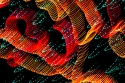 slinky%20lights (thumbnail)