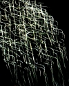 Jazz%20Drizzle (thumbnail)