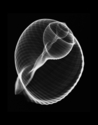 Swirl (thumbnail)