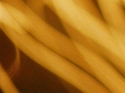 Macro Srands Macro%20Srands%20 (thumbnail)