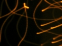 Shooting Stars Shooting%20Stars (thumbnail)