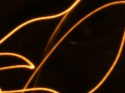 Space Dolphins Space%20Dolphins (thumbnail)