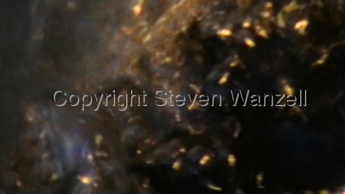 Strange Face Strange%20Face (thumbnail)