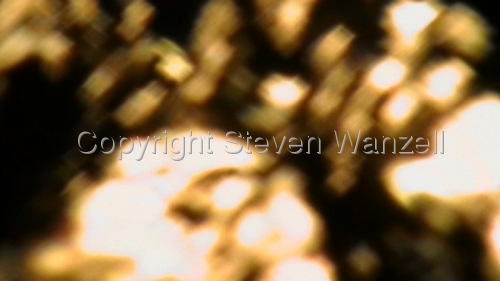 Orb Star Orb%20Star (thumbnail)