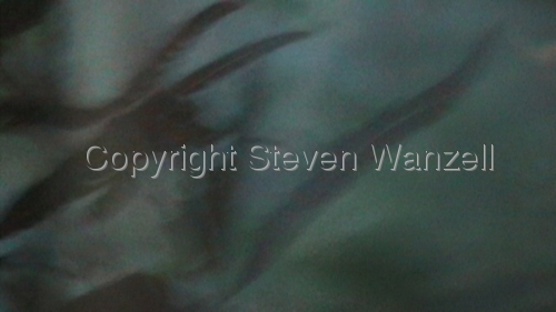 Plasticity Plasticity (thumbnail)