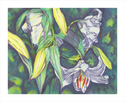 Moms%20Lillies (thumbnail)