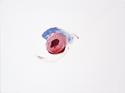 Painting--Oil-AbstractJelly Donut