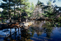 Mohonk Preserve, NY