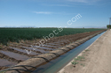Row irrigation