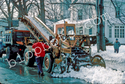 Street Snow Removal