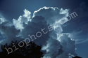 Silver lining and cumulus cloud