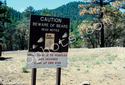 Bear warning sign