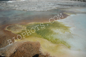Thermophiles a type of Archaebacteria