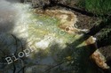 Thermophiles a type of Archaebacteria