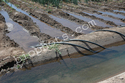 Siphons for Row Irrigation