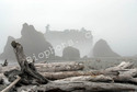 Sea Stacks at Ruby Beach Washington