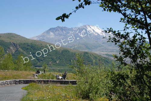 Mount Saint Helens