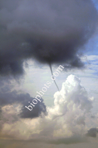 Funnel Shaped Cloud, Ramrod Key Fl